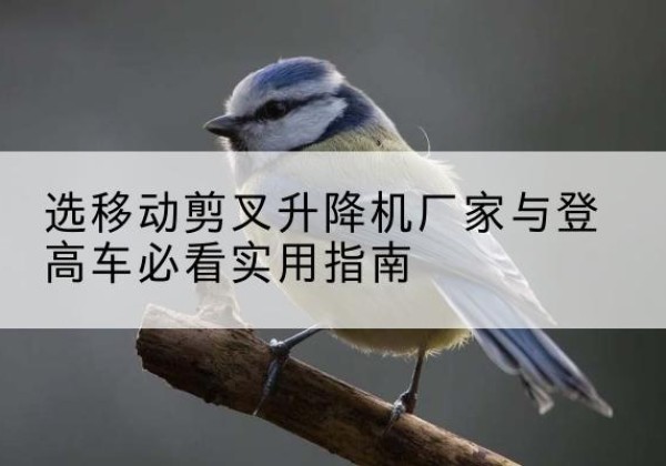 南沙电动升降机厂家-选移动剪叉升降机厂家与登高车必看实用指南