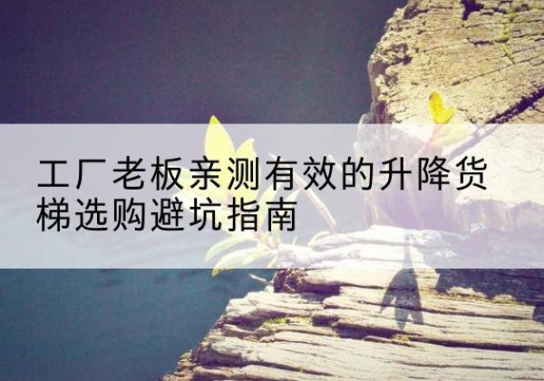 南沙升降货梯怎么选-工厂老板亲测有效的升降货梯选购避坑指南